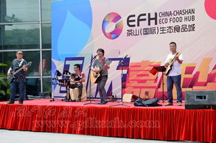 魅力東莞，專業(yè)禮儀慶典服務之選